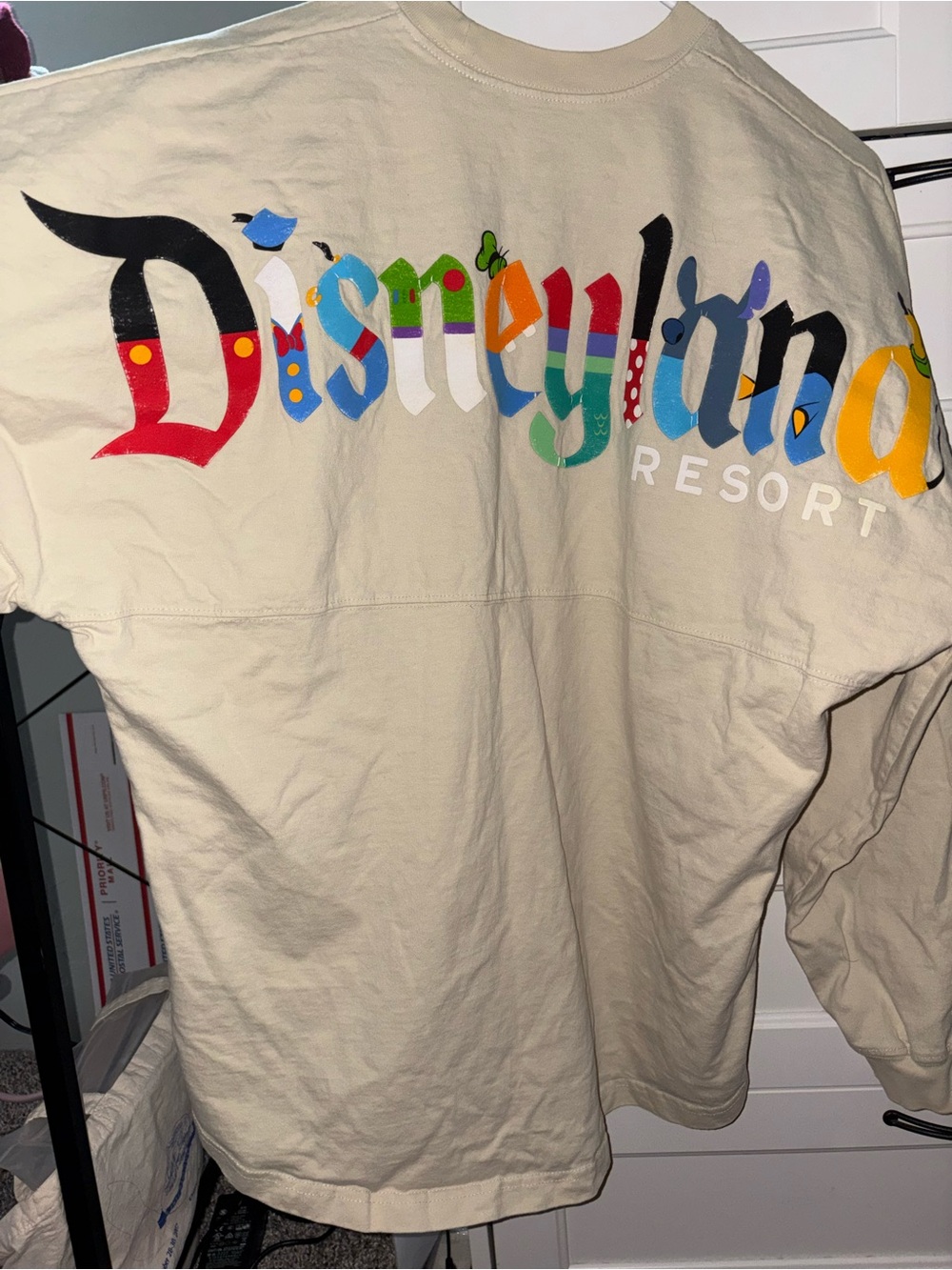 Disneyland Spirit Jersey L